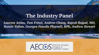 The Industry Panel